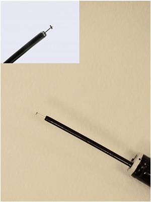 Transendoscopic Ventriculocordectomy Using Monopolar Electrosurgical Instrumentation for Conjunctive Treatment of Laryngeal Hemiplegia in Horses: 24 Cases (2017–2019)